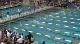 w hs 100 back final h2 d2