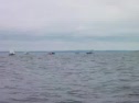 Race6 Windward2