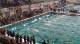 m hs 100 scy free final h1 d2