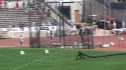 B 4x400 (3a) (3A)