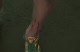 someones spiked leg