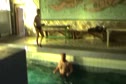 Pretty sweet sauna, cold plunge, and pool set up actually. The RTC needs to get this!