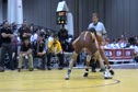 125 lbs quarter-finals Michael Martinez Wyoming vs. Frank Perrelli Cornell