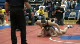 152 lbs Peyton Burns vs Eden Bernstein