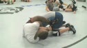 Lionheart Training Camp
