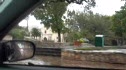 Alamo