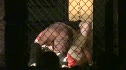 Brett Myers vs Justin Krebs