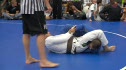 Corrola v Grayson