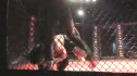 Phil Davis vs. Steve Zornes