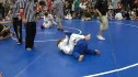 Emily Newhouse v Greer