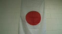 Flags in the gym