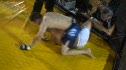 J Flores vs Nick Gonzalez