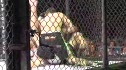Jared L'Heureux vs Jason Prorok