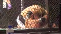 Jarrod L'Heureux vs Jeremy Small