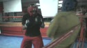 Legend Sparring