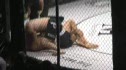 Luis Fernandez vs. Michael Luzbet