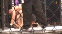 Matt Hester vs Joel Frandsen