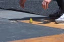 Mike Torriero from BTS catches a bird