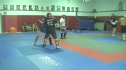 Miletich Training