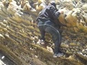 Perry and Brester climb rock wall