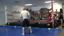 Practice in the ring