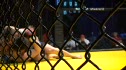 Taylor Camacho vs Brandon Farris