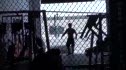 cage