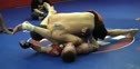 Chael Sonnen, first workout after Marquardt fight