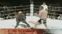 Fedor Emelianenko Highlights