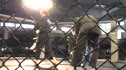 kids fight I
