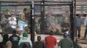 MMA #10