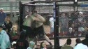 Ryan vs Jason
