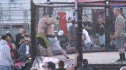 MMA #6