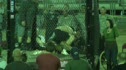 MMA #9