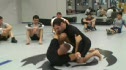 Technique Tuesday