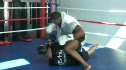 T Wood fight day