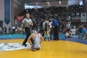 119-semi-Grey (BA) vs. Dolan (SM)