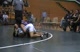 Alex Ayala va Montwood
