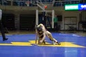 141 Curcio WVU VS Guffey Bloomsburg