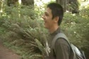 Big Tree