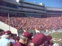 Calm Before the Frenzy
