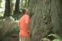 Chad Miller Estimates