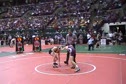 DII 119 lbs QF Nick Brascetta, St. Paris Graham Local vs  Brady Hutchins