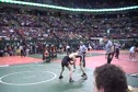 DII 125 lbs QF Johnni DiJulius, Cuy. Falls Walsh Jesuit vs Andrew Romanchik, Parma Padua