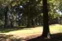 Driving On The Lawn On Campus @ UNC
