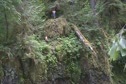 Zeb Big Jump, Ian Little Jump