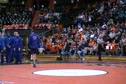 BSU VS OS Introductions