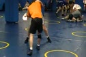 NDC Starters Live Go