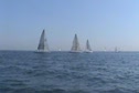 Race #1 Start, Circle A GL70's