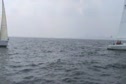 Race #6 J105 Start
